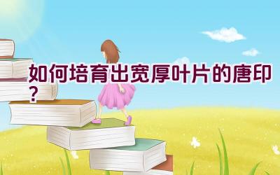 如何培育出宽厚叶片的唐印?插图 如何培育出宽厚叶片的唐印?插图