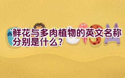 鲜花与多肉植物的英文名称分别是什么?插图 鲜花与多肉植物的英文名称分别是什么?插图