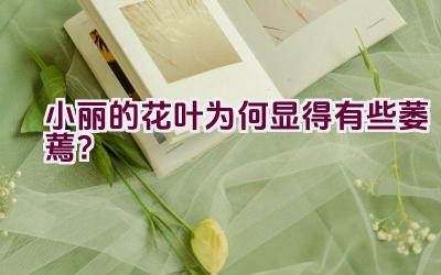 小丽的花叶为何显得有些萎蔫?插图 小丽的花叶为何显得有些萎蔫?插图