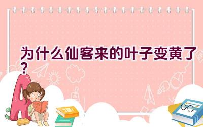 为什么仙客来的叶子变黄了？插图