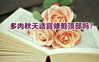 多肉秋天适宜修剪顶部吗?插图 多肉秋天适宜修剪顶部吗?插图