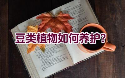 豆类植物如何养护?插图 豆类植物如何养护?插图