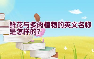 鲜花与多肉植物的英文名称是怎样的?插图 鲜花与多肉植物的英文名称是怎样的?插图