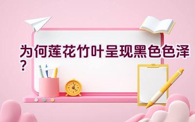 为何莲花竹叶呈现黑色色泽?插图 为何莲花竹叶呈现黑色色泽?插图