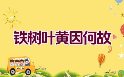 铁树叶黄因何故插图 铁树叶黄因何故插图