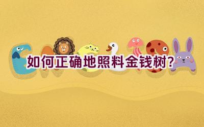 如何正确地照料金钱树?插图 如何正确地照料金钱树?插图