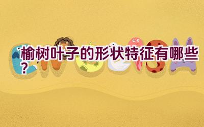 榆树叶子的形状特征有哪些?插图 榆树叶子的形状特征有哪些?插图