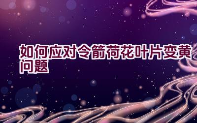 如何应对令箭荷花叶片变黄问题插图 如何应对令箭荷花叶片变黄问题插图