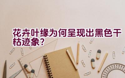 花卉叶缘为何呈现出黑色干枯迹象?插图 花卉叶缘为何呈现出黑色干枯迹象?插图