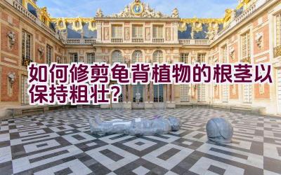 如何修剪龟背植物的根茎以保持粗壮?插图 如何修剪龟背植物的根茎以保持粗壮?插图