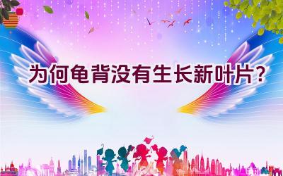 为何龟背没有生长新叶片?插图 为何龟背没有生长新叶片?插图