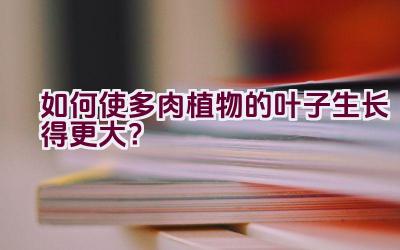 如何使多肉植物的叶子生长得更大?插图 如何使多肉植物的叶子生长得更大?插图