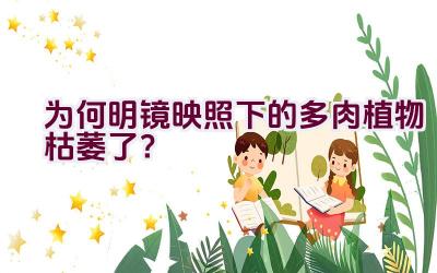 为何明镜映照下的多肉植物枯萎了？插图