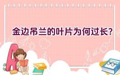金边吊兰的叶片为何过长?插图 金边吊兰的叶片为何过长?插图