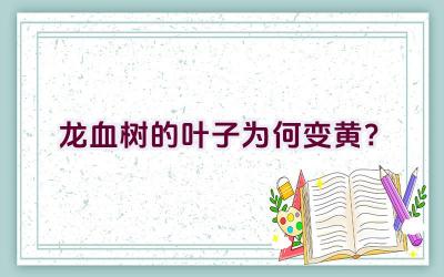 龙血树的叶子为何变黄?插图 龙血树的叶子为何变黄?插图