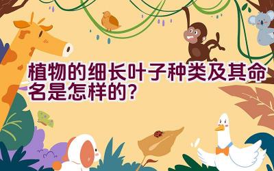 植物的细长叶子种类及其命名是怎样的?插图 植物的细长叶子种类及其命名是怎样的?插图