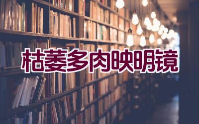 枯萎多肉映明镜插图 枯萎多肉映明镜插图