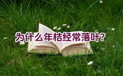 为什么年桔经常落叶?插图 为什么年桔经常落叶?插图