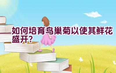 如何培育鸟巢菊以使其鲜花盛开?插图 如何培育鸟巢菊以使其鲜花盛开?插图