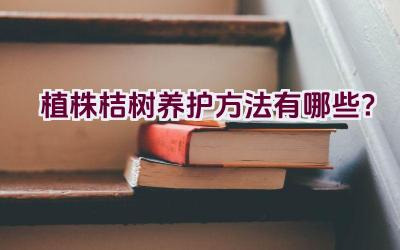 植株桔树养护方法有哪些?插图 植株桔树养护方法有哪些?插图