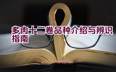 多肉十二卷品种介绍与辨识指南插图 多肉十二卷品种介绍与辨识指南插图