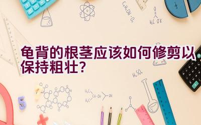 龟背的根茎应该如何修剪以保持粗壮？插图