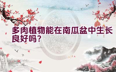 多肉植物能在南瓜盆中生长良好吗?插图 多肉植物能在南瓜盆中生长良好吗?插图