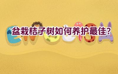 盆栽桔子树如何养护最佳?插图 盆栽桔子树如何养护最佳?插图