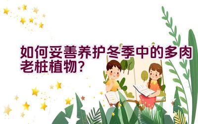 如何妥善养护冬季中的多肉老桩植物?插图 如何妥善养护冬季中的多肉老桩植物?插图