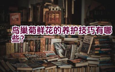 鸟巢菊鲜花的养护技巧有哪些?插图 鸟巢菊鲜花的养护技巧有哪些?插图