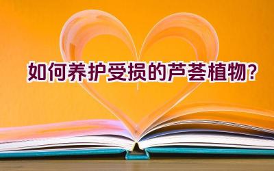 如何养护受损的芦荟植物?插图 如何养护受损的芦荟植物?插图