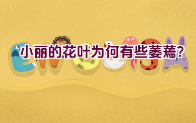 小丽的花叶为何有些萎蔫?插图 小丽的花叶为何有些萎蔫?插图