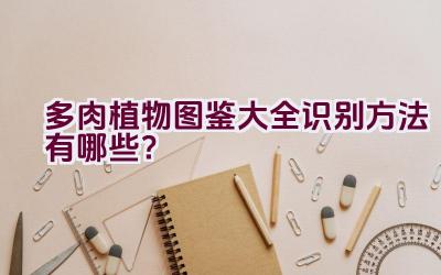 多肉植物图鉴大全识别方法有哪些？插图