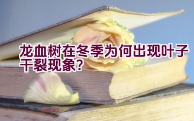 龙血树在冬季为何出现叶子干裂现象?插图 龙血树在冬季为何出现叶子干裂现象?插图