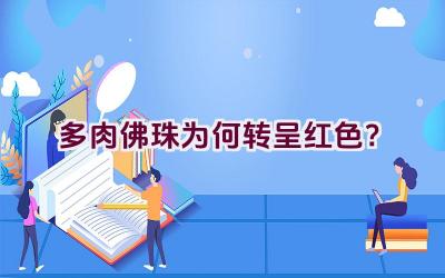 多肉佛珠为何转呈红色?插图 多肉佛珠为何转呈红色?插图