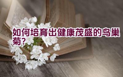 如何培育出健康茂盛的鸟巢菊?插图 如何培育出健康茂盛的鸟巢菊?插图