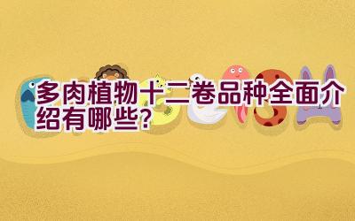 “多肉植物十二卷品种全面介绍有哪些?”插图 “多肉植物十二卷品种全面介绍有哪些?”插图