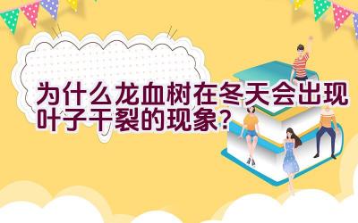 为什么龙血树在冬天会出现叶子干裂的现象?插图 为什么龙血树在冬天会出现叶子干裂的现象?插图