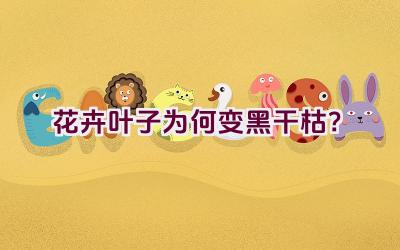 花卉叶子为何变黑干枯?插图 花卉叶子为何变黑干枯?插图