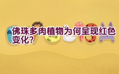 佛珠多肉植物为何呈现红色变化?插图 佛珠多肉植物为何呈现红色变化?插图