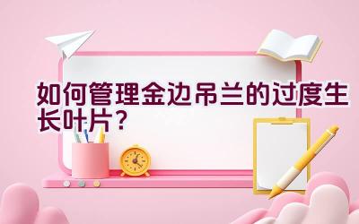 如何管理金边吊兰的过度生长叶片?插图 如何管理金边吊兰的过度生长叶片?插图