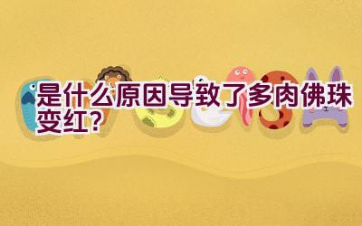 是什么原因导致了多肉佛珠变红？插图