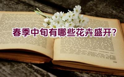 春季中旬有哪些花卉盛开?插图 春季中旬有哪些花卉盛开?插图