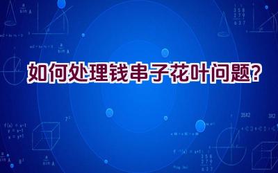 如何处理钱串子花叶问题？插图