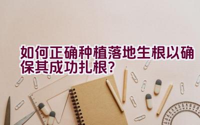 如何正确种植落地生根以确保其成功扎根?插图 如何正确种植落地生根以确保其成功扎根?插图