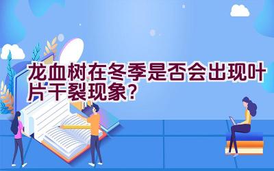 龙血树在冬季是否会出现叶片干裂现象?插图 龙血树在冬季是否会出现叶片干裂现象?插图