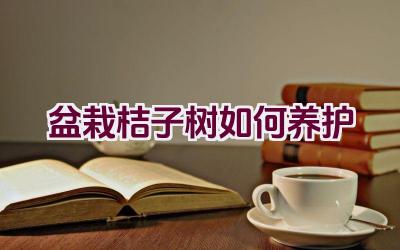 盆栽桔子树如何养护插图 盆栽桔子树如何养护插图