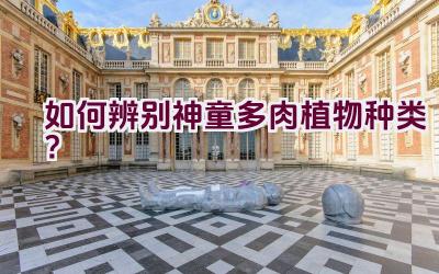 如何辨别神童多肉植物种类?插图 如何辨别神童多肉植物种类?插图