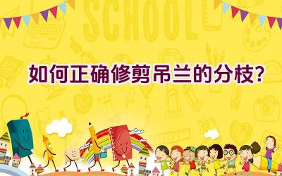 如何正确修剪吊兰的分枝?插图 如何正确修剪吊兰的分枝?插图