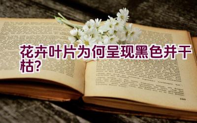 花卉叶片为何呈现黑色并干枯?插图 花卉叶片为何呈现黑色并干枯?插图